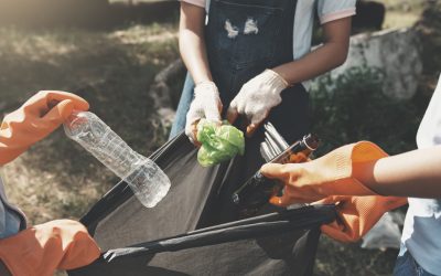 Puntos de reciclaje cerca de ti: Soluciones ambientales con Árbol Verde