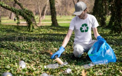 Reciclaje industrial en Bogotá: Soluciones sostenibles con Árbol Verde