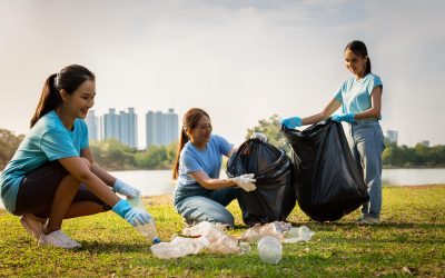 Recoger reciclaje Norte Bogotá y mejora tu gestión ambiental