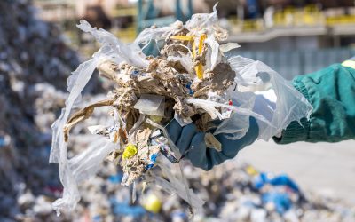 Compra de Reciclaje Bosa | Mejores Precios – Árbol Verde