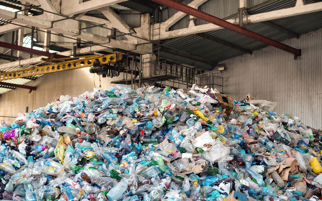 Compra de Reciclaje La Candelaria | Precios Justos – Árbol Verde