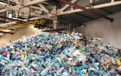Compra de Reciclaje La Candelaria | Precios Justos – Árbol Verde