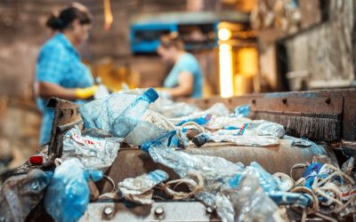 Compra de Reciclaje Rafael Uribe | Precios Justos – Árbol Verde