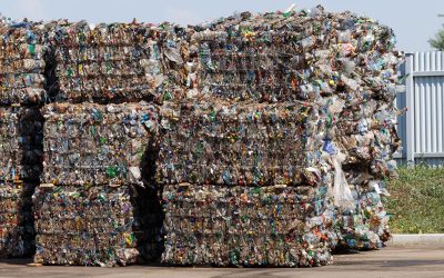 Compra de Reciclaje Santa Fe | Precios Justos – Árbol Verde