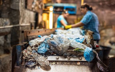 Compra de Reciclaje Suba | Mejores Precios – Árbol Verde
