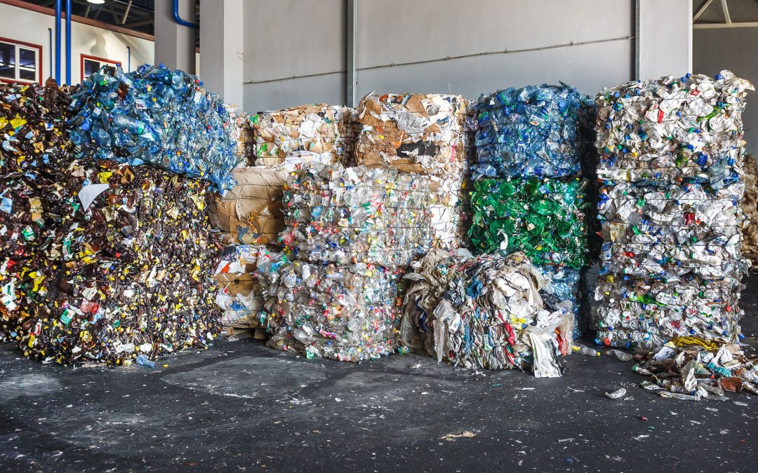 Compra de Reciclaje Teusaquillo | Precios Justos – Árbol Verde