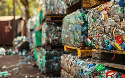 Empresa de reciclaje Santa Fe: Gestión ambiental profesional