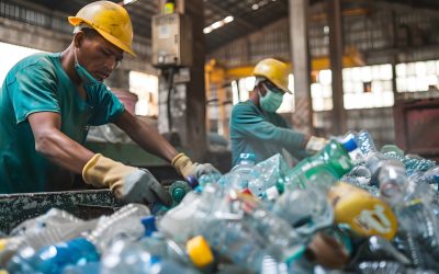 Empresa de reciclaje Ciudad Bolívar: Gestión ambiental hoy