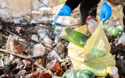 Servicio de Reciclaje Suba: ¡Llámanos hoy!