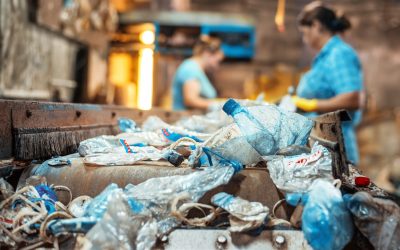 Servicio de Reciclaje Kennedy: ¡Llámanos hoy!